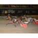 Milleniums Girl wins Vernon feature