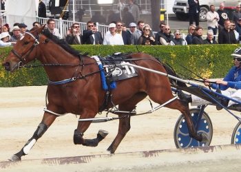 Unbeaten Millwood Nike lead act on Addington stage