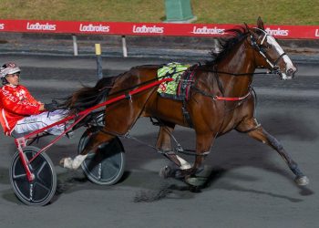 Misstrepo gives her sire a timely boost