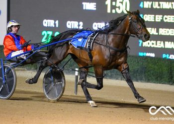 APG bonanza at NSW Breeders Challenge