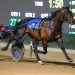 APG bonanza at NSW Breeders Challenge