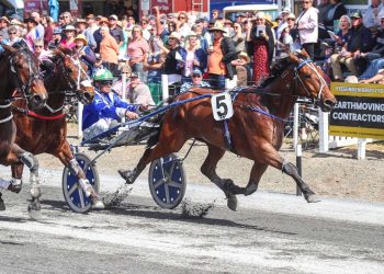 Auction graduate wins Group Three Trotters Cup