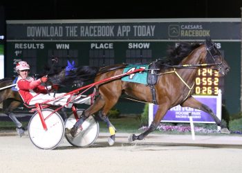 Naturdays can make it a big day for connections