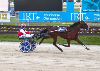 White claims a Harness Million double