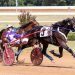 Walner filly earns fastest win in International Stallion Stakes