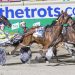 Sanderson’s mission to claim South Australian Pacing Cup
