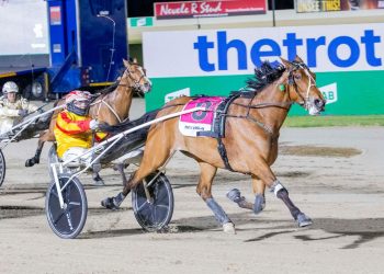 Love You mare sets new national seasonal earnings record