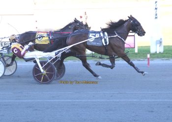 Smooth sailing for Racey Rach N at Plainridge