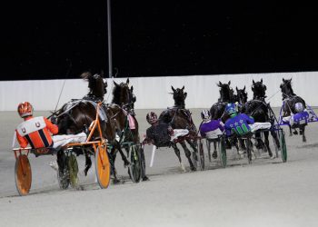 Watch the Breeders Crown live
