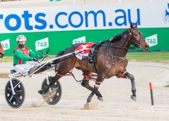 Weekly spotlight on breeding