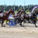 Sooner The Bettor snares spot in $1m Race by Grins