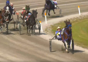 Howmac Napoleon conquers Celtic Financial Series Final