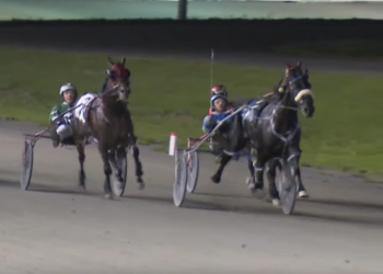 Sunshine Boy rises again at Fraser