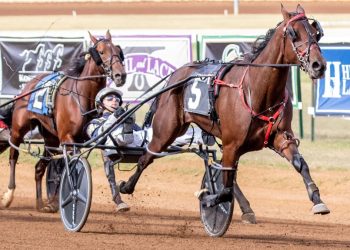 Nine Breeders Crown eliminations on Friday