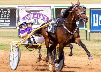 T C I aiming for history