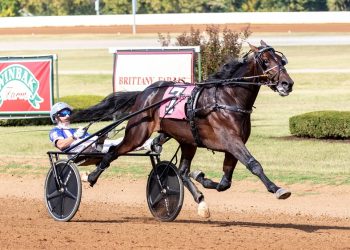 Bluegrass no problem for Hambo winner