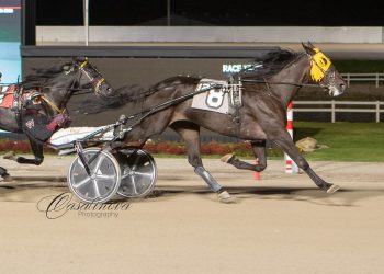 Makin Some Noise, Tequila Talkin take co-features