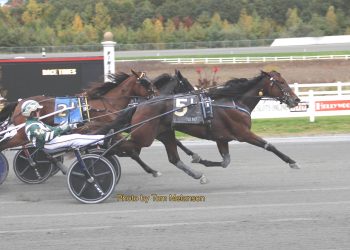 Stakes record tied, Gingras grand slams in Mass Stakes