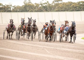 Trotting boom continues to gather momentum
