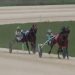 Trust Me Alot takes home MSSBA Juvenile Stakes