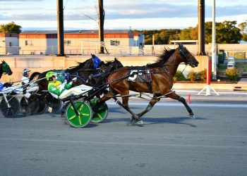 Virgo vaults to victory at Harrington