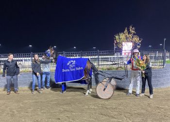 Alberta superstar extends streak to 13 in $56,300 stake