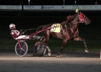 Favorite crushes field in $36,000 Open Trot
