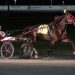 Favorite crushes field in $36,000 Open Trot