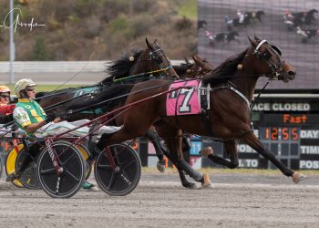 Late racing luck for Meadows feature winner