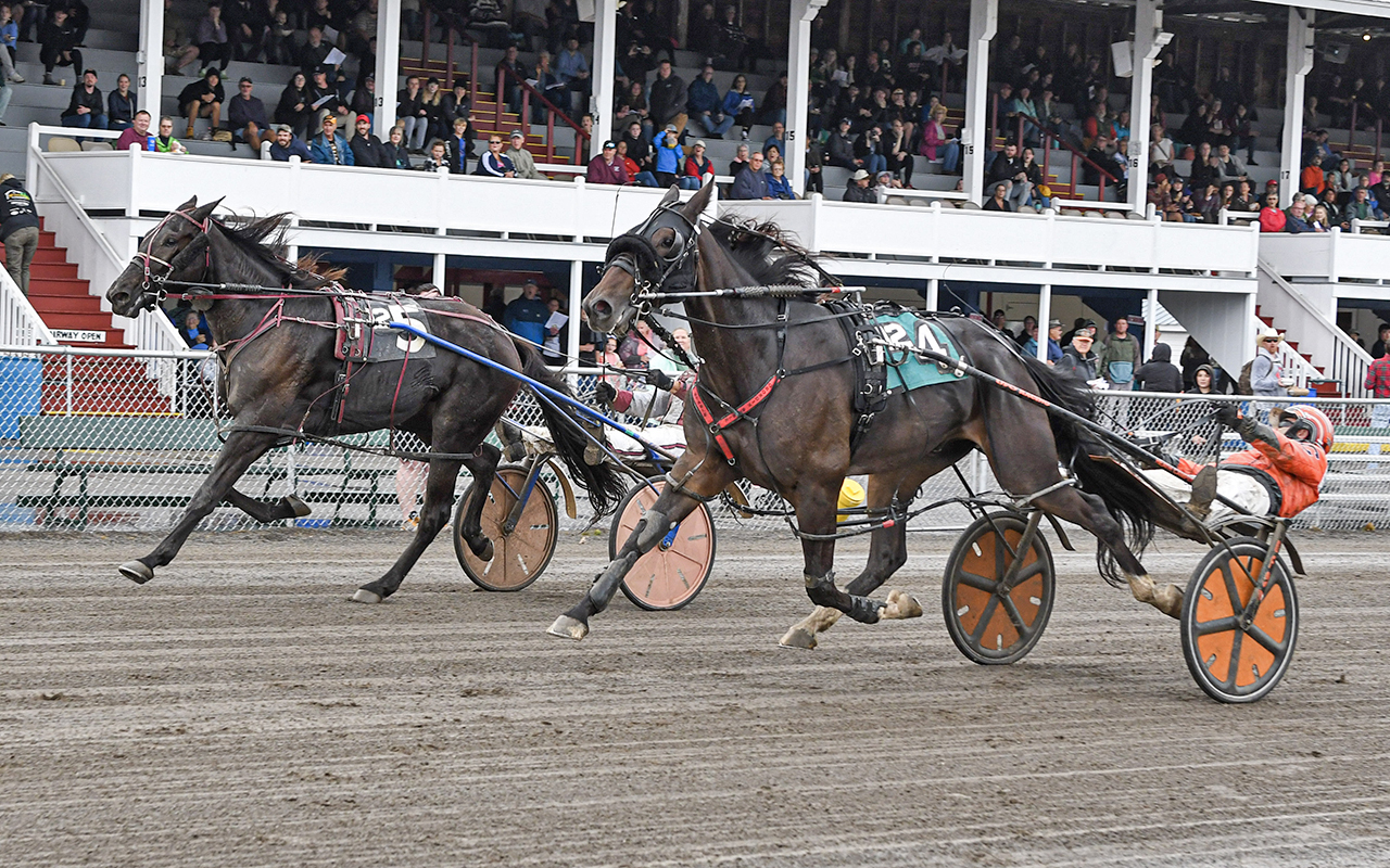 Maine Sire Stakes finale at Fryeburg Fair Harnesslink