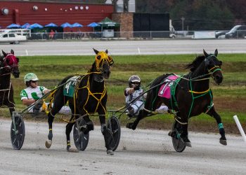 Cyclone Kiwi N wins USHDC trot at Cumberland Run