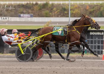 Kat noses out favorite in Open