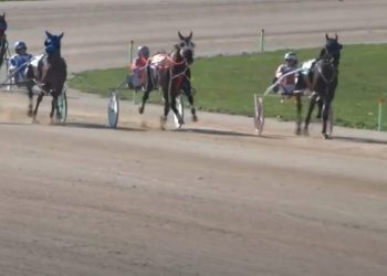 Looeymagooey shines bright in MSSBA Futurity