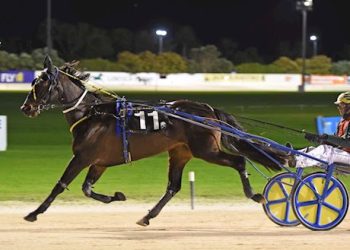 Eight lot standardbred auction ends tonight