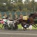 NJSS-SDF $70,000 Finals conclude at Freehold Raceway