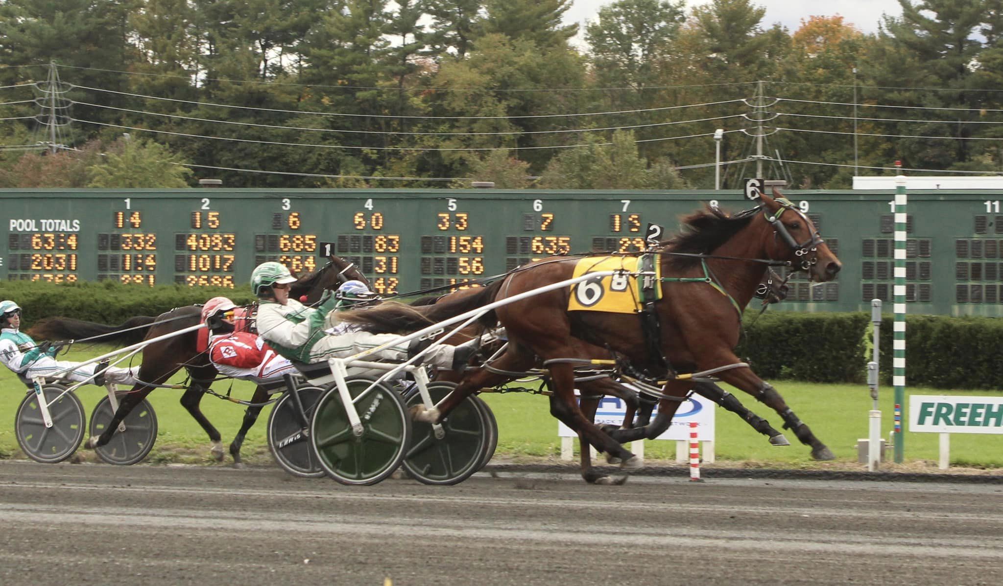 NJSS-SDF $70,000 Finals conclude at Freehold Raceway
