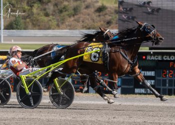 Easy front-end victory by Seaside Tina