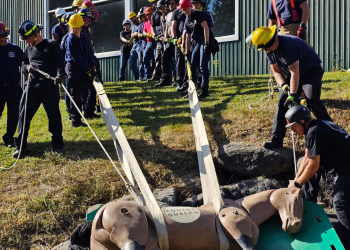 Equine Guelph hosting large animal rescue course for first responders