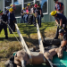 Equine Guelph hosting large animal rescue course for first responders 3 Equine Guelph hosting large animal rescue course for first responders