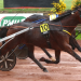 Ideal du Pommeau wins Grand National du Trot at Nantes