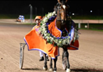 Zeudi AMG takes Gr. II Giganten Prize at Wolvega