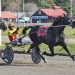 Broadway Giant wins second in a row at Cumberland