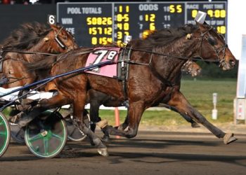 $428,000 Goldsmith Maid goes to mild upsetter