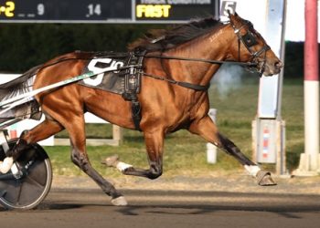 Svanstedt trainee takes $350,000 FanDuel Open Trot off the shelf