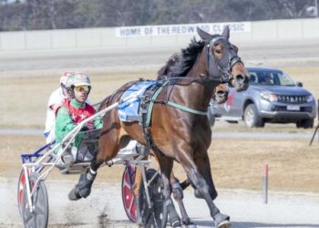 The sky is blue for Malibuu chasing Group 1 glory