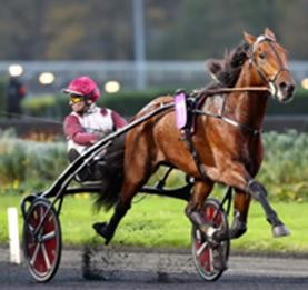 Katinka du Mouchel wins Gr. II Prix Guy Deloison 2