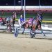 Smooth Machete comfortably takes out Tasbred Final 2 Smooth Machete comfortably takes out Tasbred Final