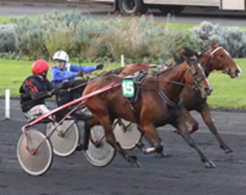 Katinka du Mouchel wins Gr. II Prix Guy Deloison 3