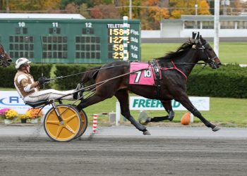 Calabrese, Polansky claim AHDC Trots