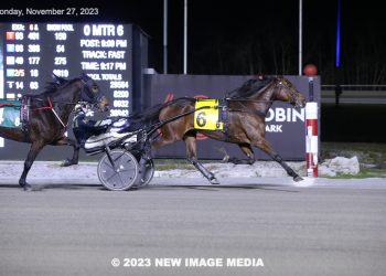 Angeliki scoops another series final